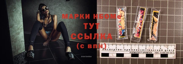 шишки Слюдянка