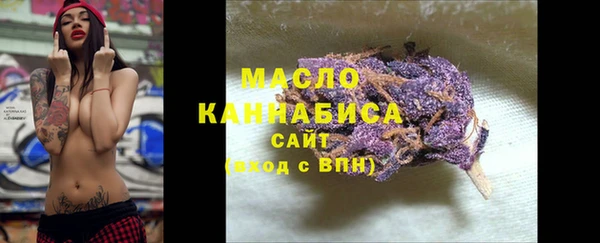 шишки Слюдянка