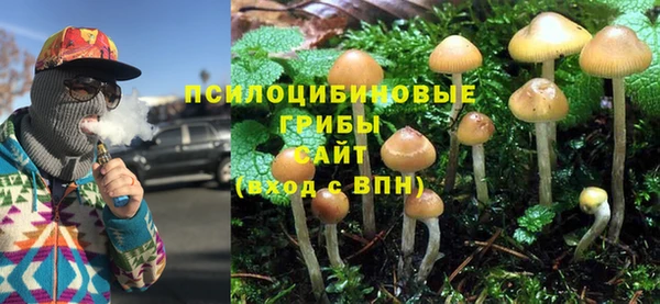 ALPHA PVP Снежинск