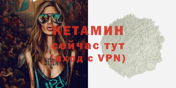 шишки Слюдянка