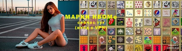 шишки Слюдянка